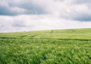 ¿En diciembre se afianzarán los impactos de La Niña?