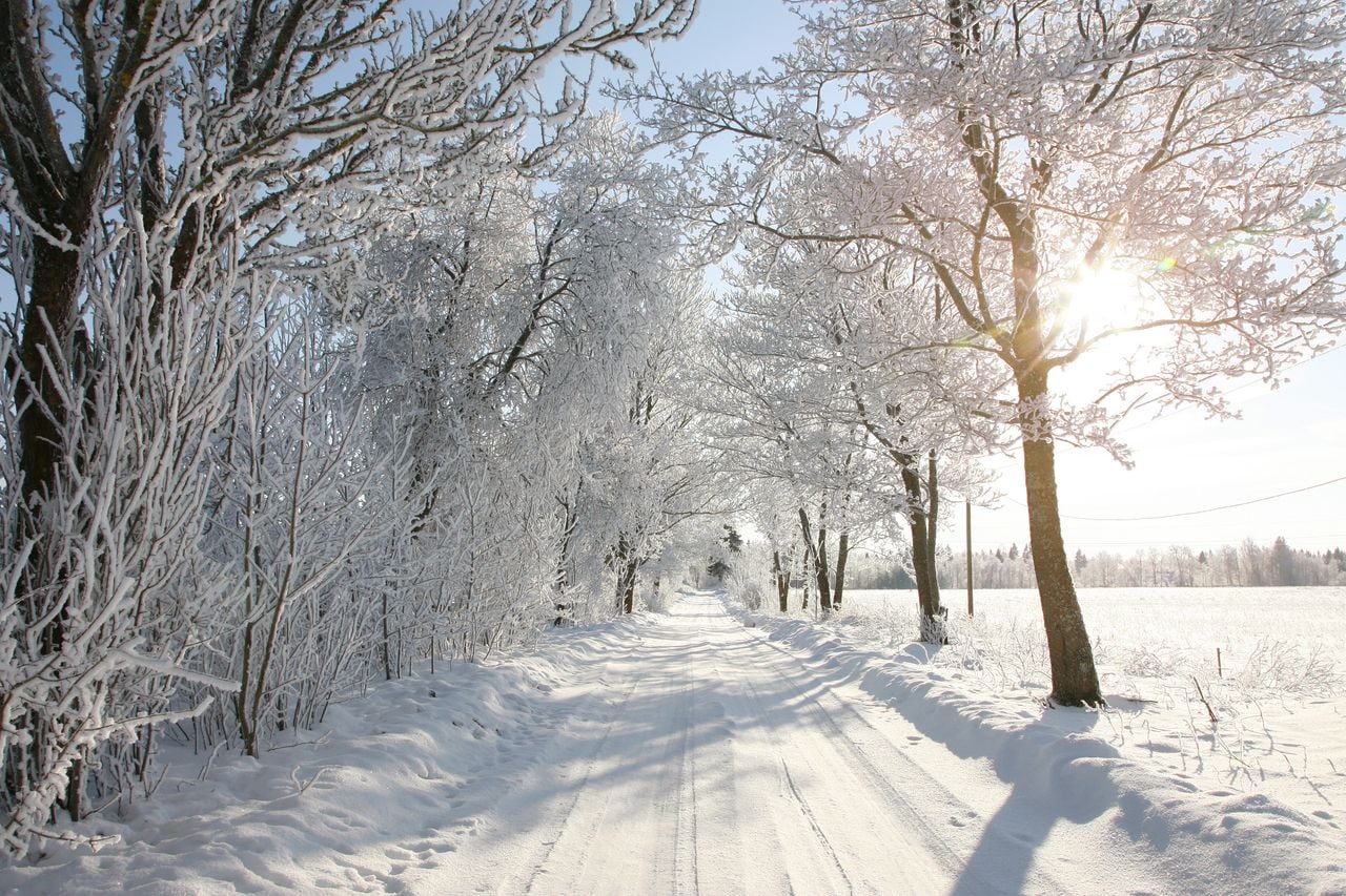 Recientes actualizaciones indican más periodos de lluvias y nevadas, además de menos frío. Sin embargo, eventuales temperaturas extremas por aire ártico llegarían.