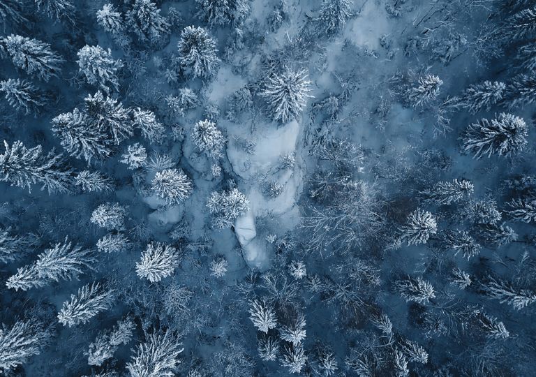 Diciembre será muy lluvioso en España. La última apuesta del modelo europeo Diciembre será muy lluvioso en España. La última apuesta del modelo europeo