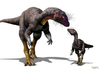 Did this dinosaur species from Utah burrow and live underground?
