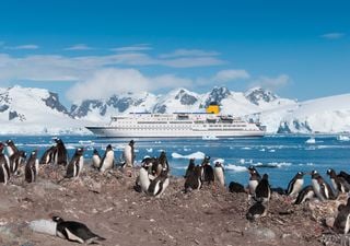 Die Antarktis stirbt: Ruß beschleunigt das Eissterben dramatisch – Schmelztage explodieren