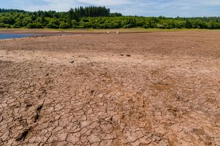 Immer mehr Hitzewellen: Welchen Einfluss haben Landoberflächen?