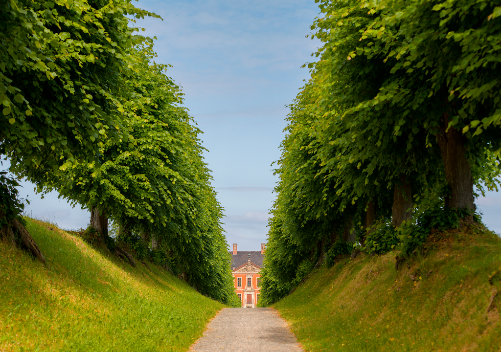 Lindenallee in Bohltemer, Mecklenburg-Vorpommern, Beispiel, Alleen, Deutschland Lindenallee in Bohltemer, Mecklenburg-Vorpommern, Beispiel, Alleen, Deutschland