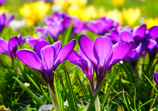 Die Kälte kommt wieder – wie die Frühlingslaune erhalten bleibt!