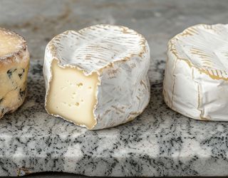 Die Käsepflanze: Das skurrile Gewächs, das nach Camembert schmeckt – so baust du sie selbst an