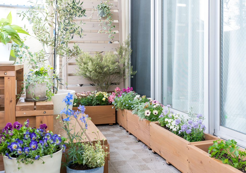 Balkone, Terrassen, Frühling, Blütenprach, Lebensfreude, Lebensqualität Balkone, Terrassen, Frühling, Blütenprach, Lebensfreude, Lebensqualität