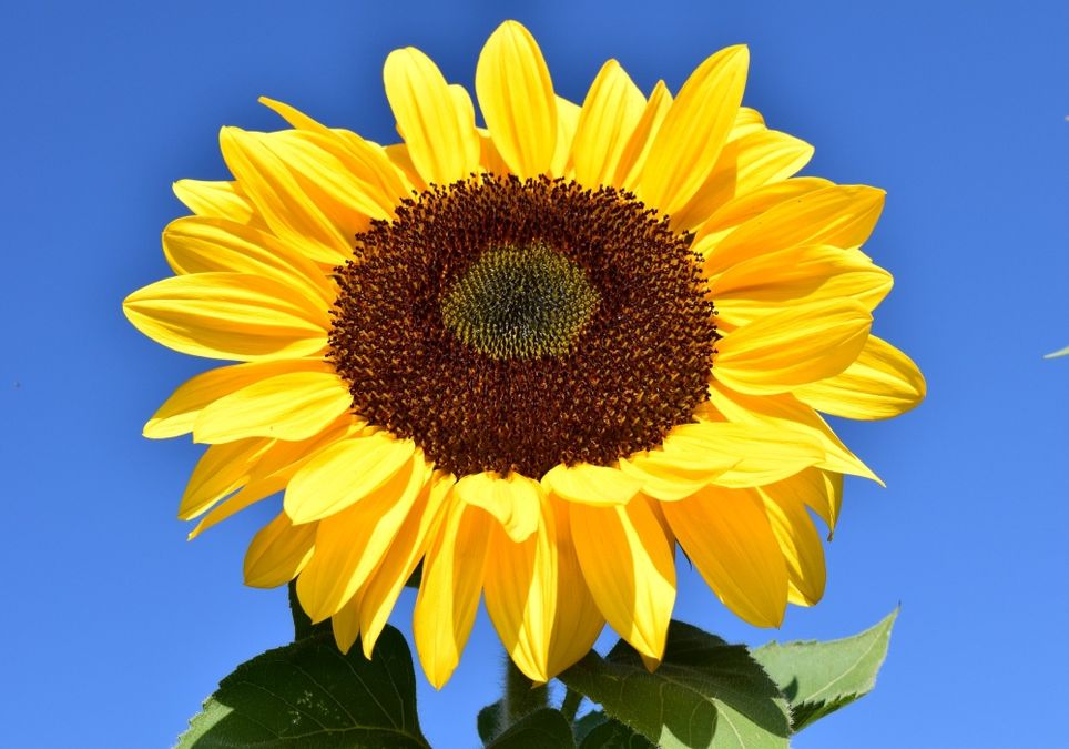 Wochenende mit Sommerwetter Wochenende mit Sommerwetter