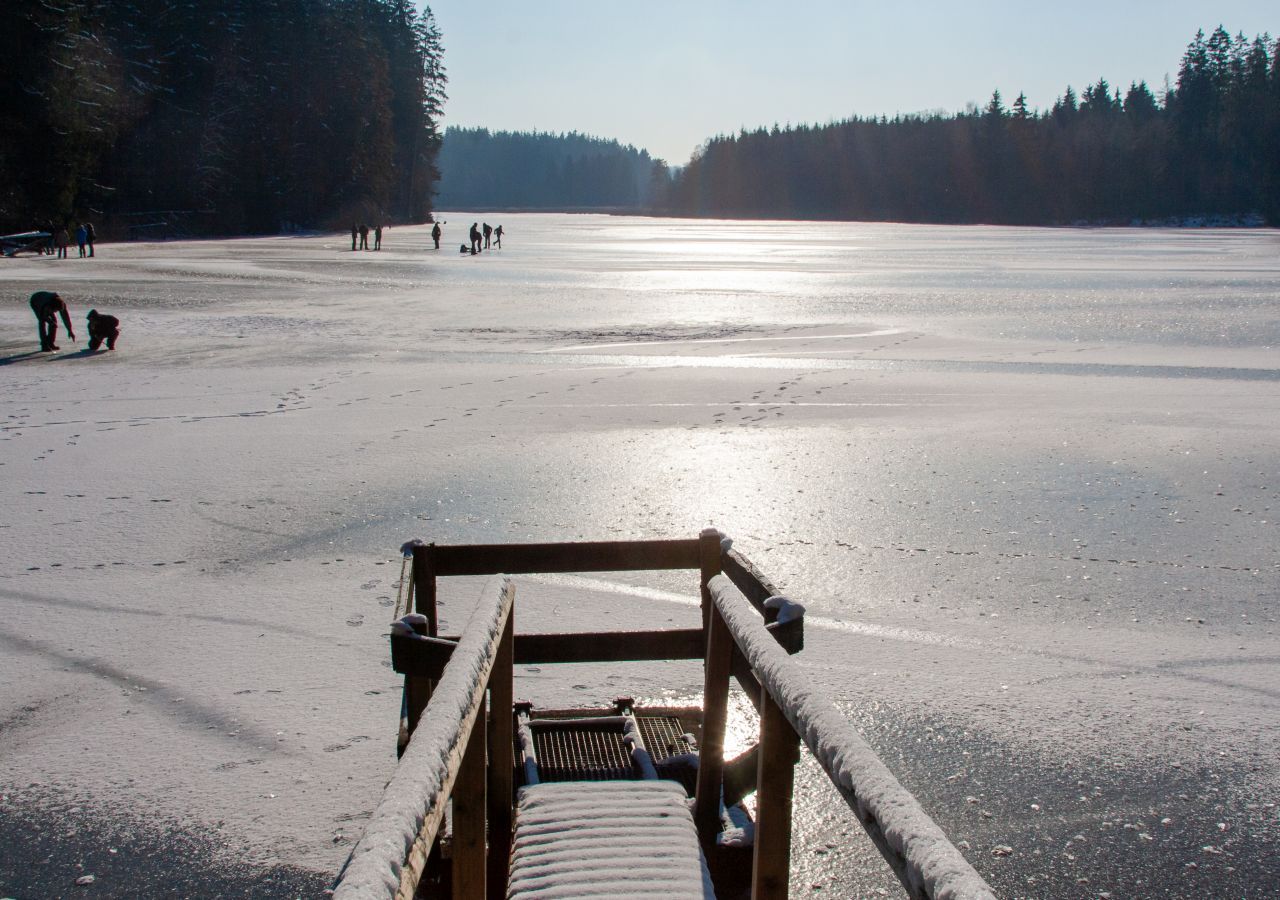 Le calme avant le froid extrême. Un expert avertit : ce week-end est trompeur, nous allons basculer dans un gel durable