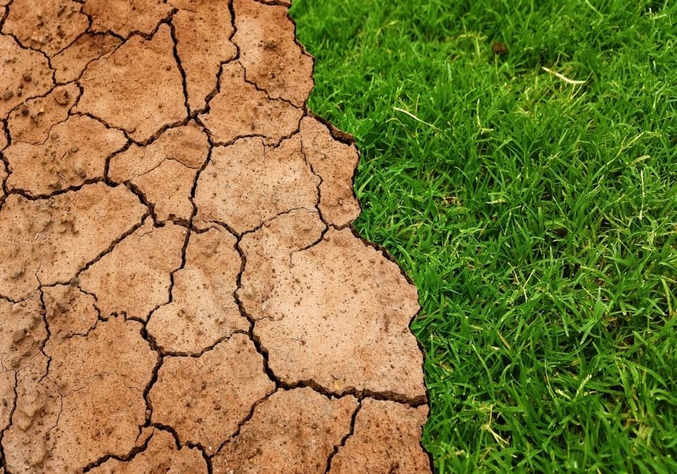 Die Trockenheit wird immer schlimmer und nimmt kein Ende!