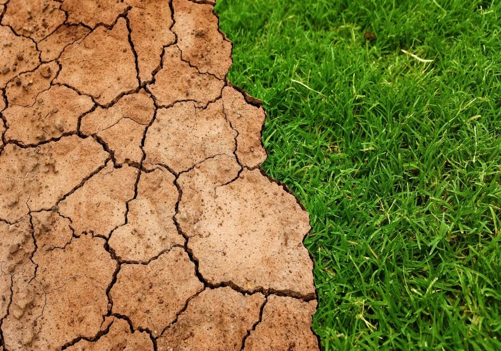 Trockenheit ohne Ende Trockenheit ohne Ende