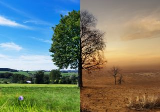 Die verwirrende Juli-Prognose: Dürre oder Hochwasser?
