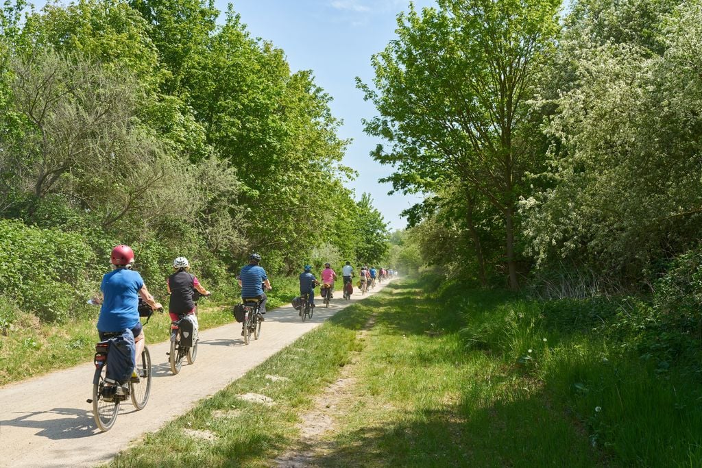 Radweg Radtour von Heiligendamm nach Kühlungsborn. Foto: Adobe Stock