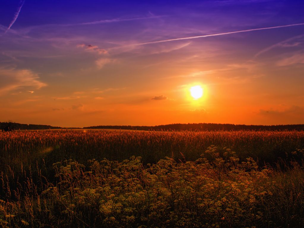 Kaum Hitze im August
