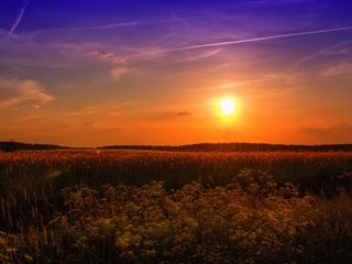 Die Wettervorhersage für August!