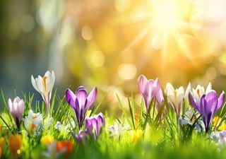 Die Zeichen stehen auf 