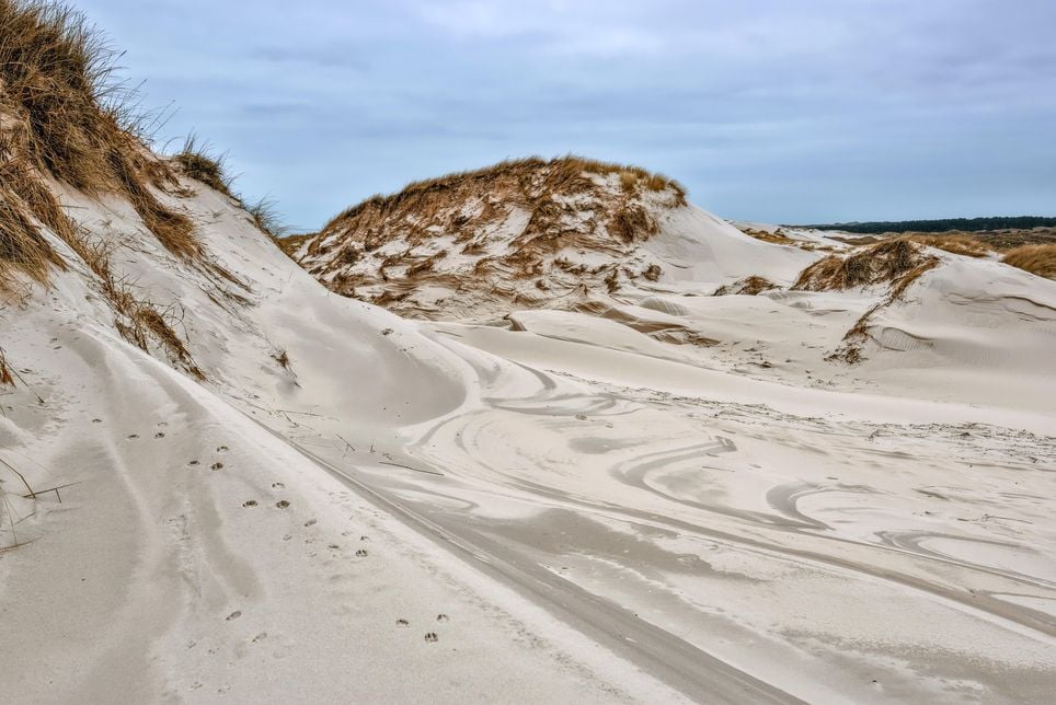 Diese Insel ist ein Stück Friesland wie aus dem Bilderbuch - und dazu ein Leinwand-Star