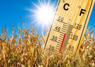 'Diese Prognose macht sprachlos' Ist das aktuell erst der Anfang? GFS-Modell rechnet mit brutaler Hitzewelle - über 40°C