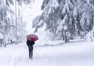 Dieses Ph&auml;nomen in der Arktis alarmiert die Experten: &bdquo;Das Wetter wird in Deutschland blockiert bleiben&ldquo;