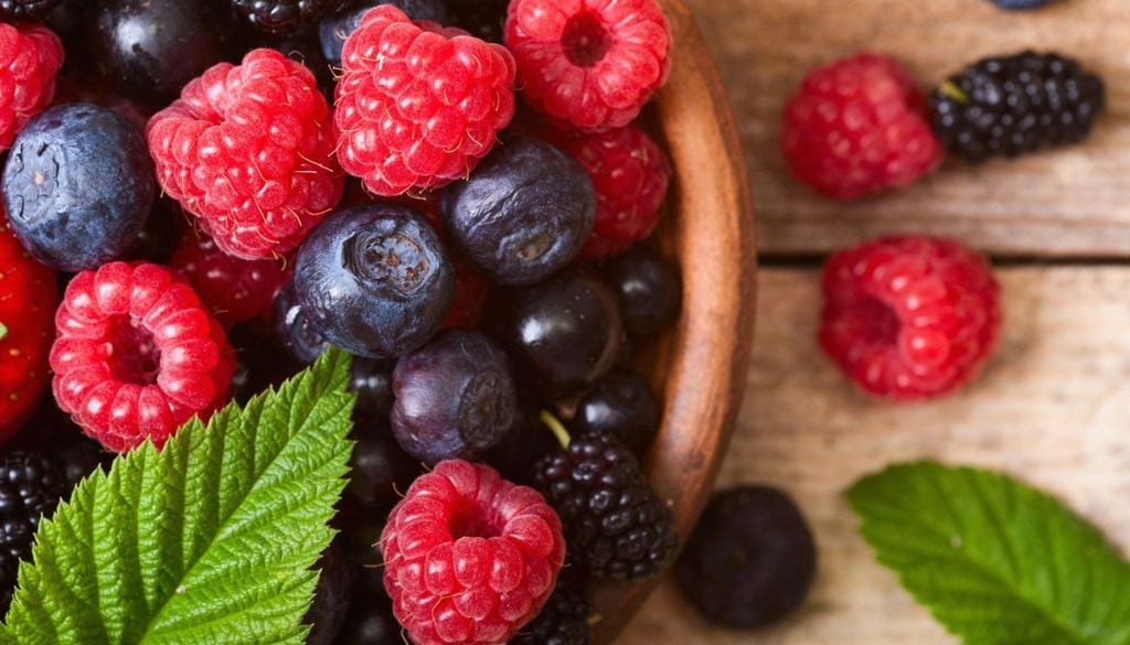 frutti di bosco I frutti di bosco, una parte importante nell'alimentazione danese