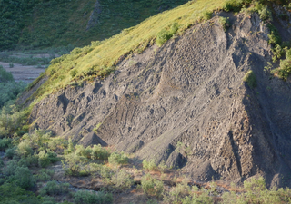 Descoberto um "coliseu" de dinossauros no Alasca