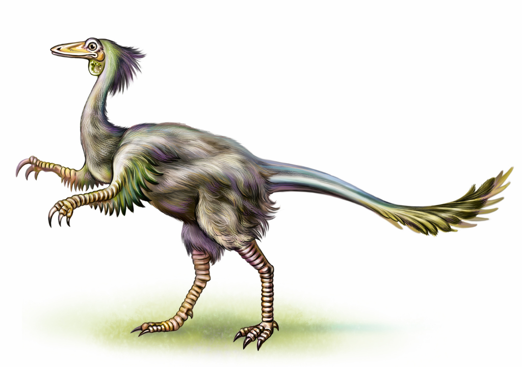 Aunque se creía que había mutado su dieta a insectos por la reducción de sus patas, este pequeño dinosaurio nunca dejó de ser carnívoro.