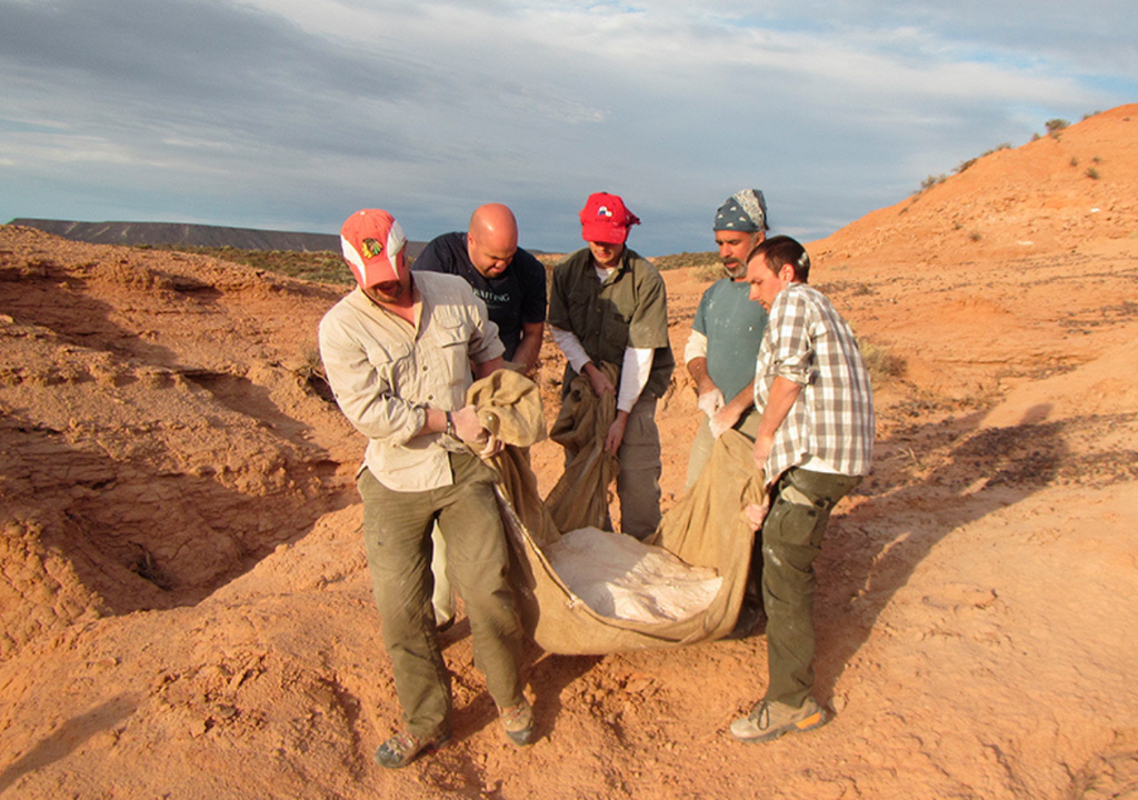 El fósil de Alnashetri cerropoliciensis fue hallado en "La Buitrera", una reconocida zona fosilífera del norte de Río Negro. Foto: CONICET