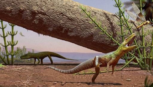 Dinossauros e crocodilos: como f&oacute;ssil in&eacute;dito no Brasil ajuda a montar a &aacute;rvore da vida do planeta