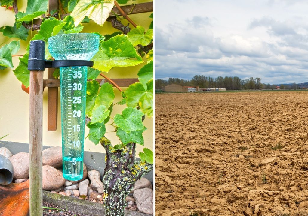 pluviómetro y tierra seca pluviómetro y tierra seca