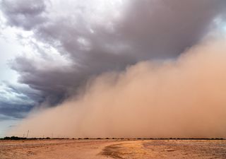 Dirección Meteorológica de Chile emite alerta ante posibilidad de tormenta de arena para el norte del país