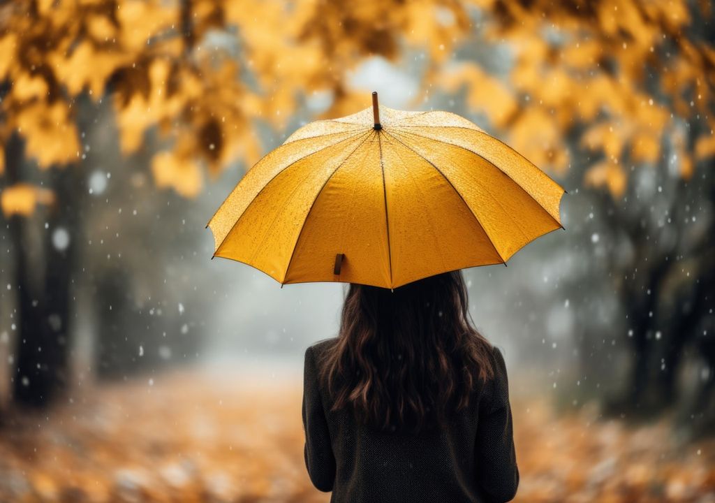 persona de espaldas mirando hacia un paisaje otoñal, en un día de lluvia, protegiéndose con un paraguas