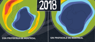 Disminución del ozono en la crisis de la COVID-19