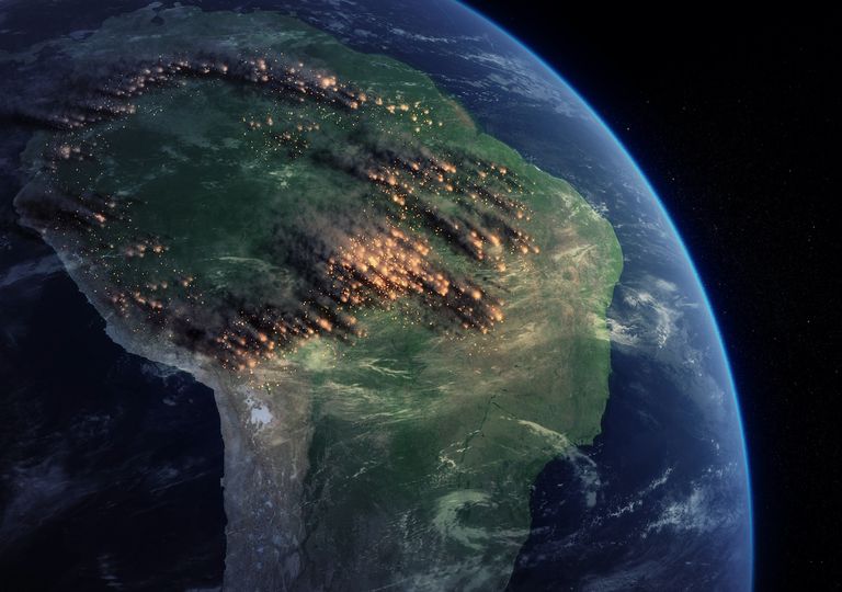 Disminuye la capacidad de los bosques tropicales para absorber CO2 Disminuye la capacidad de los bosques tropicales para absorber CO2