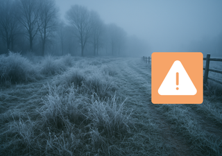 DMC advierte por heladas severas, viento y tormentas desde este jueves: así se moverá el tiempo en Chile