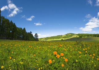 DMC anticipa una primavera 2025 más seca y cálida en gran parte de Chile, con riesgo de sequía