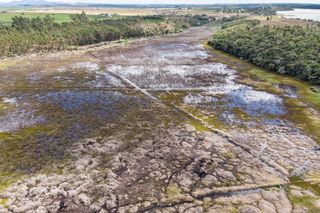 Do desastre à esperança: como famílias transformaram rejeitos em hortas produtivas em Minas Gerais