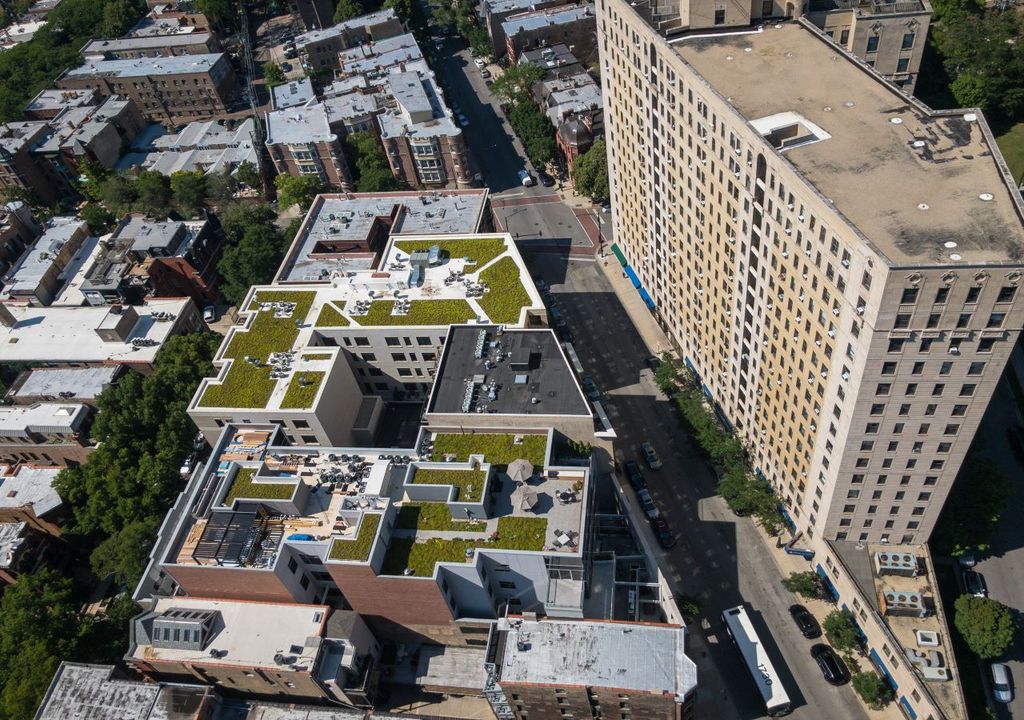 Green roofs in Chicago