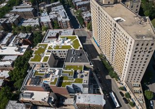 Do green roofs cool down cities?