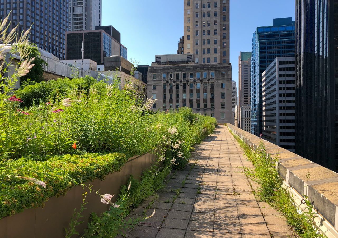Do green roofs cool down cities?
