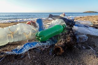 Do lixo ao turismo: o banco de dados que conecta o que acontece na areia, no mar e na economia de Itamaracá