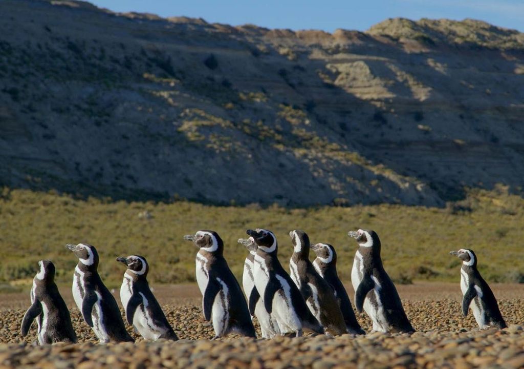 serie documental patagonia