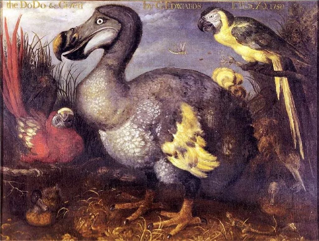 Pintura dodo