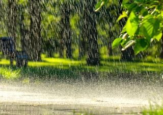 ¿Importa de dónde viene el agua de lluvia? Esto es lo que dicen unos expertos de la Universidad de Estocolmo