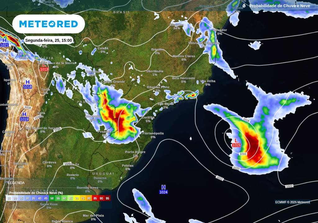Previsão de probabilidade de chuva nesta segunda-feira (25), segundo o ECMWF.