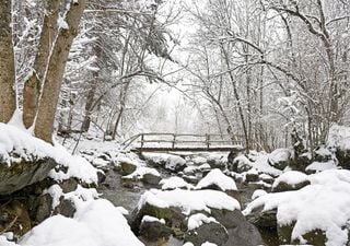 Dónde caerá más nieve entre hoy y mañana, 26 de noviembre: sumará más de 30 cm el Pirineo