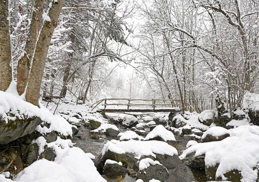 Dónde caerá más nieve entre hoy y mañana, 26 de noviembre: sumará más de 30 cm más el Pirineo