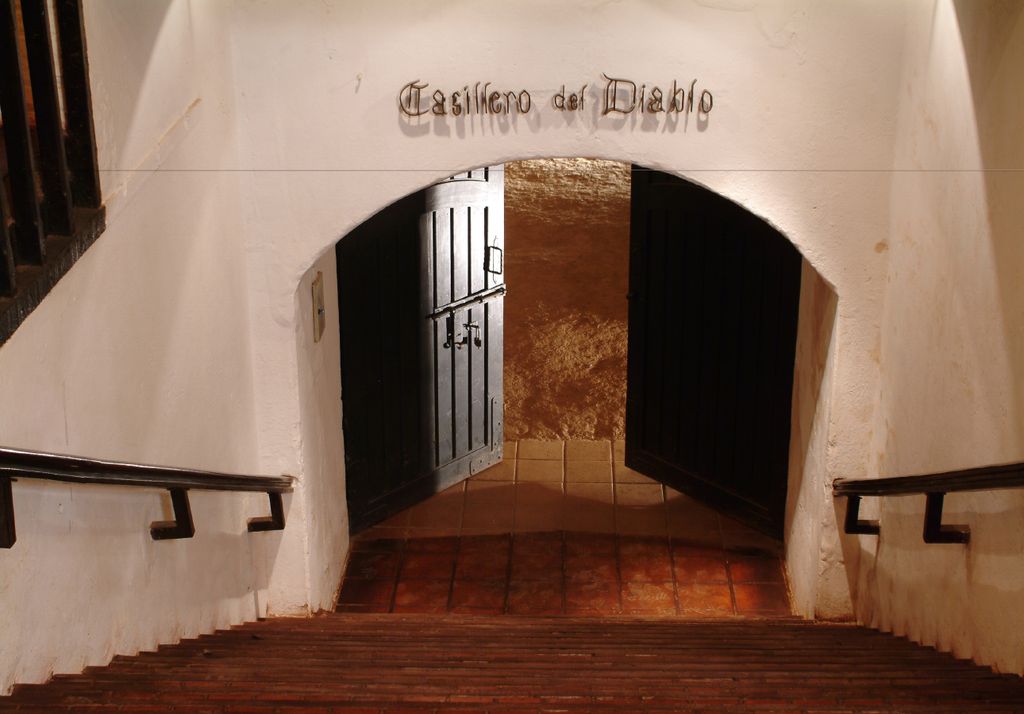 viñedo viñedo
