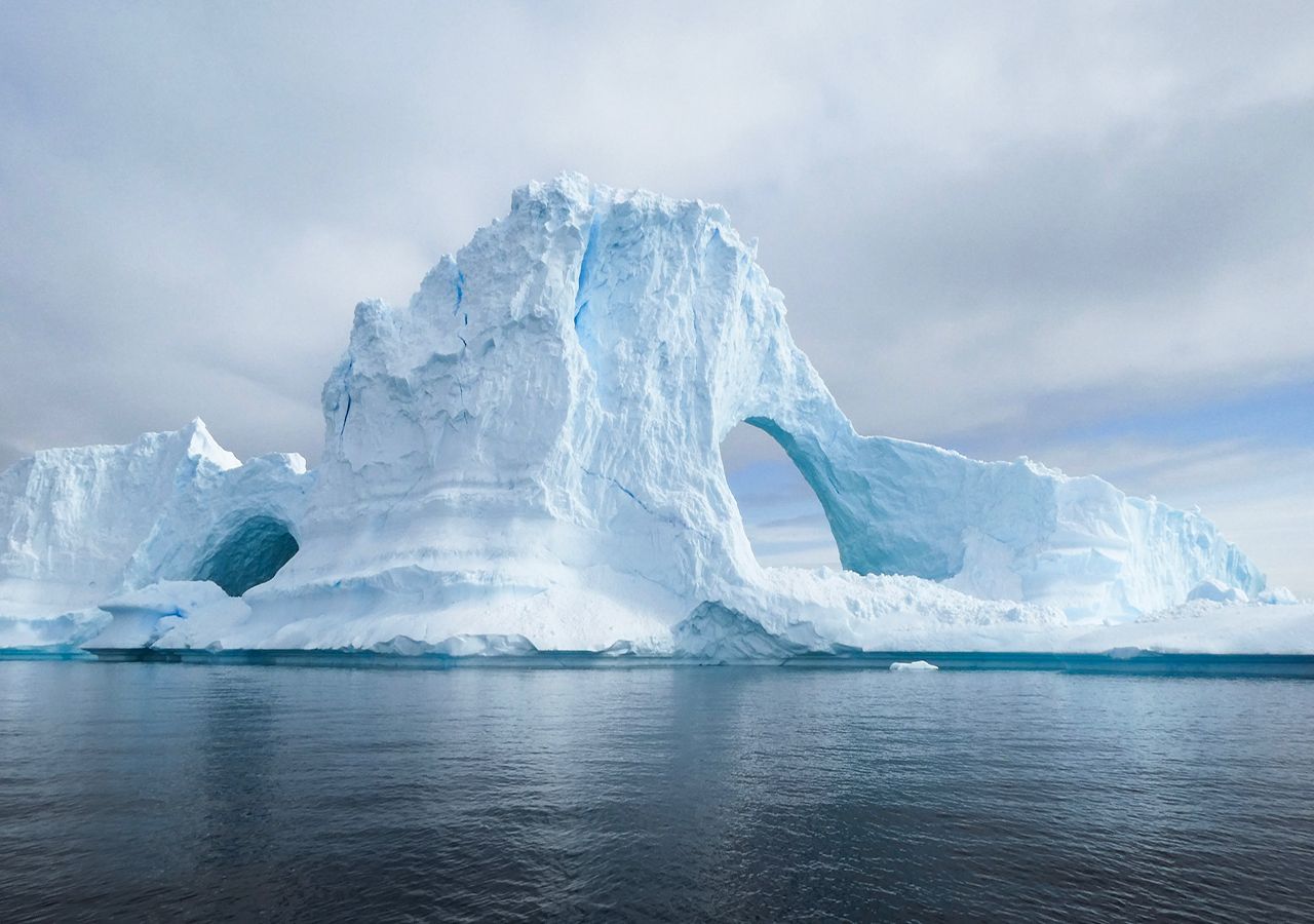 A la deriva: la morsa que se quedó dormida en un iceberg y ahora