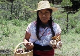 ¿Dónde está la ambientalista Irma Galindo Barrios?