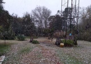 ¿Dónde nieva? Videos de un domingo con copos y helado