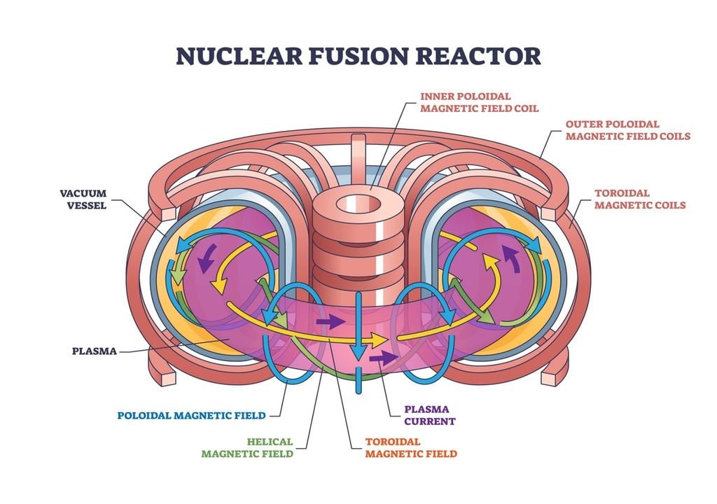 Schema del del tokamak, il cuore dell'impianto, con la "camera toroidale con le bobine magnetiche"